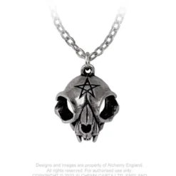 Alchemy Gothic My Forever Friend - Kaulakoru