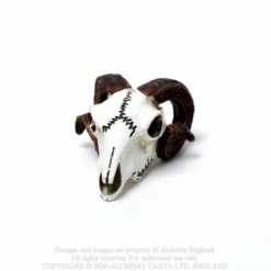 Alchemy Gothic Rams Skull - Mini koriste esine