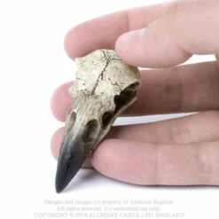 Alchemy Gothic Raven Skull - Koriste esine