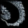 Alchemy Gothic Vertebrae - Ranneketju