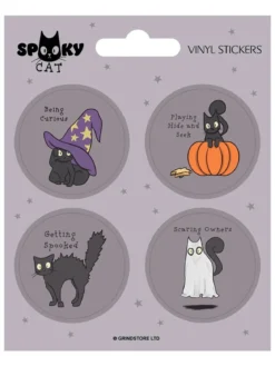 Behaviour Of A Spooky Cat - vinyylitarrat