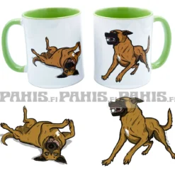 Belgianpaimenkoira, Malinois - Muki