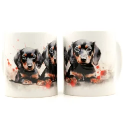 Black Dachshund puppies-Muki