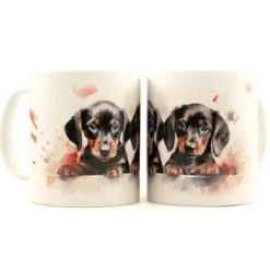 Dachshund Puppies I -Muki
