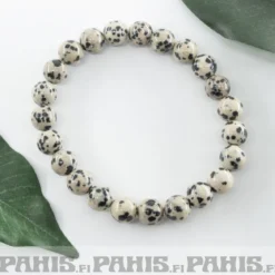 Dalmatian -Jaspis - Helmirannekoru