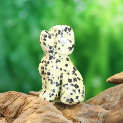 Dalmatian-jaspis - Koira 5 cm