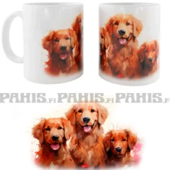 Golden Retrievers V -Muki