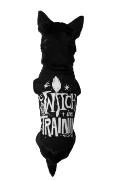 Killstar Witch in training - Koiran paita