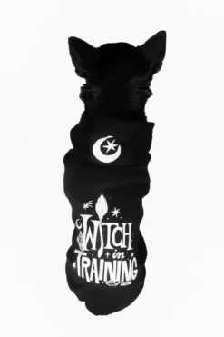 Killstar Witch In Training - Lemmikin huppari