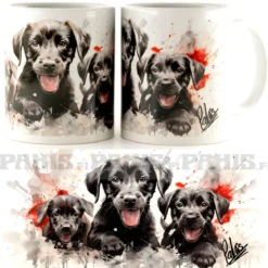 Labrador Puppies -Muki