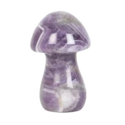 Magical Amethyst Crystal Mushroom
