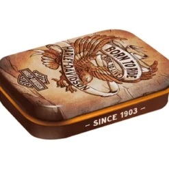Pastillirasia - Harley Davidson Born to Ride Eagle