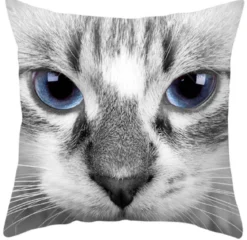 Ragdoll Cat - Koristetyynynpäällinen