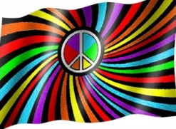 Rainbow - Lippu