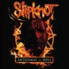Slipknot Antennas - Lasinalunen
