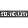 Watain - Pinssi