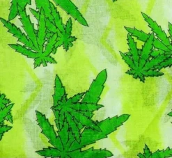 Weed - Huivi